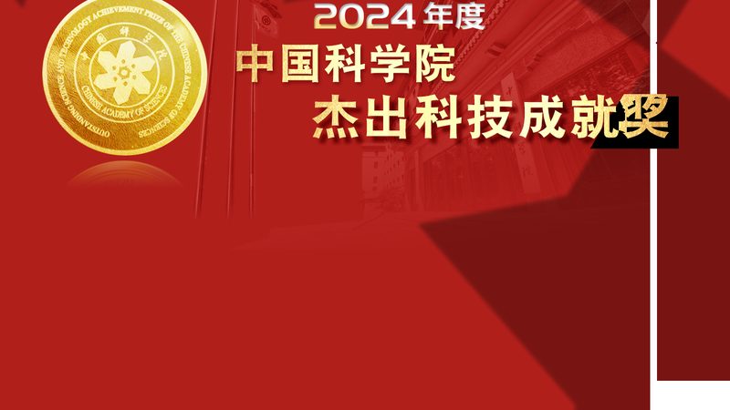 定制化与标准化：教育机构数字化解决方案的差异化选择**