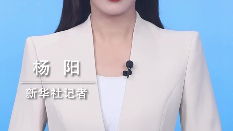 知识图谱与自然语言处理：两种技术的内在差异与融合